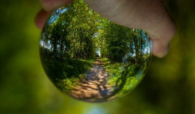 AI Reasoning Needs Multiple Viewpoints